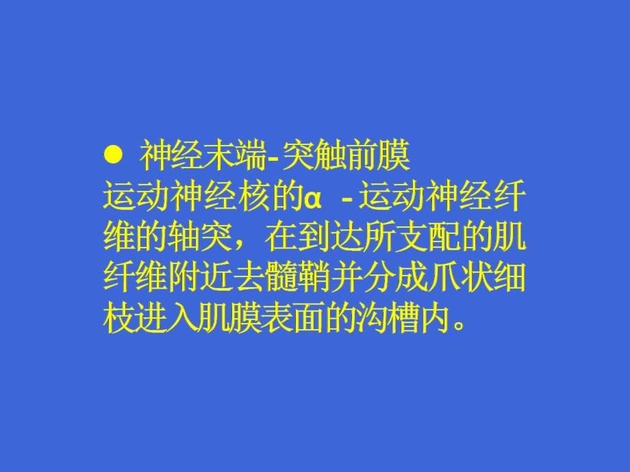 傅健说：重症肌无力患者病因大纲_第5页