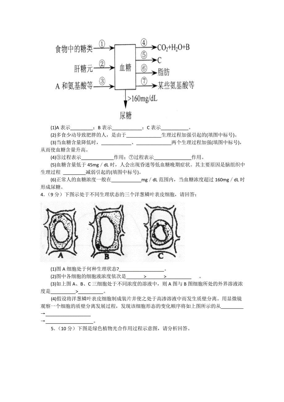 甘肃省兰州五十五中10-11学年高二生物12月月考（无答案）旧人教版_第5页