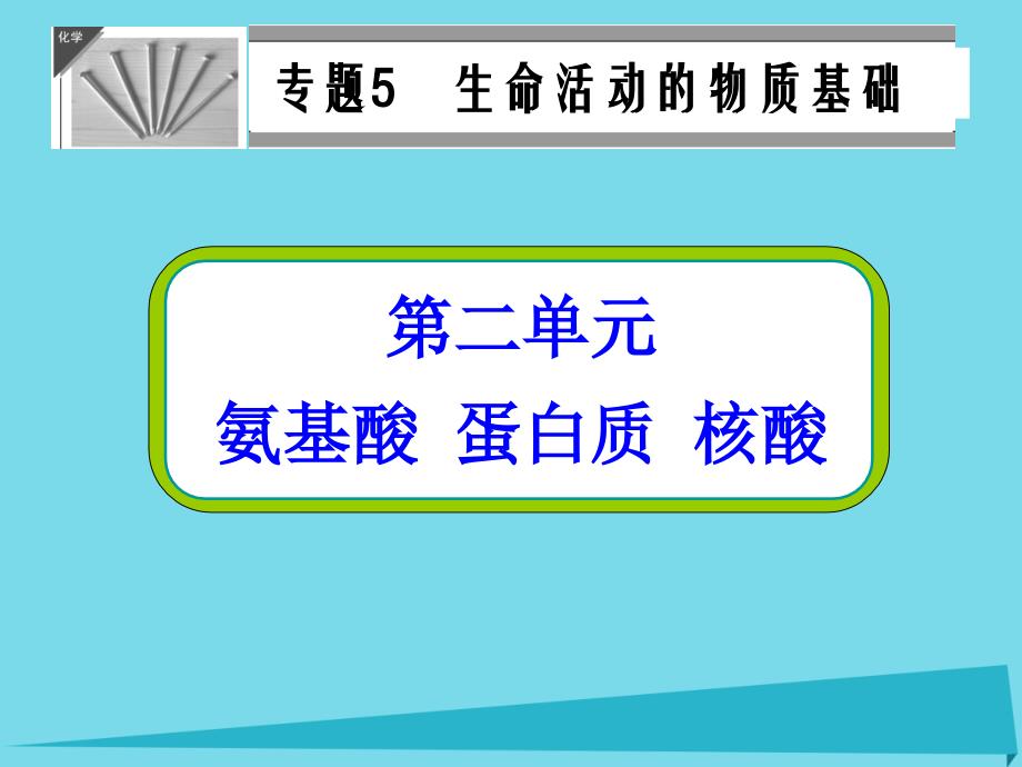 高中化学 5.2 氨基酸 蛋白质课件 苏教版选修5_第1页