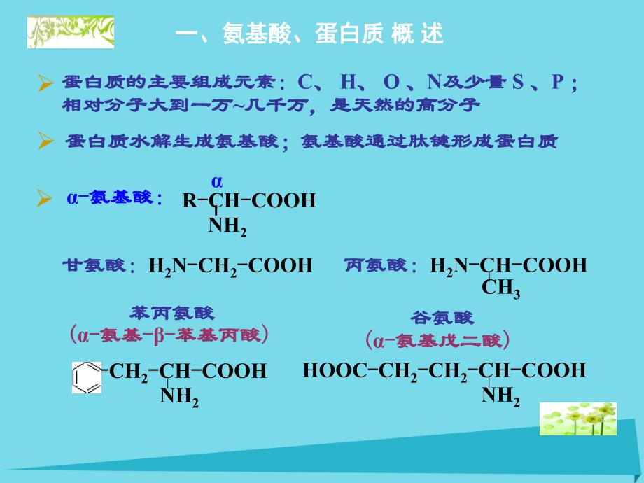 高中化学 5.2 氨基酸 蛋白质课件 苏教版选修5_第3页