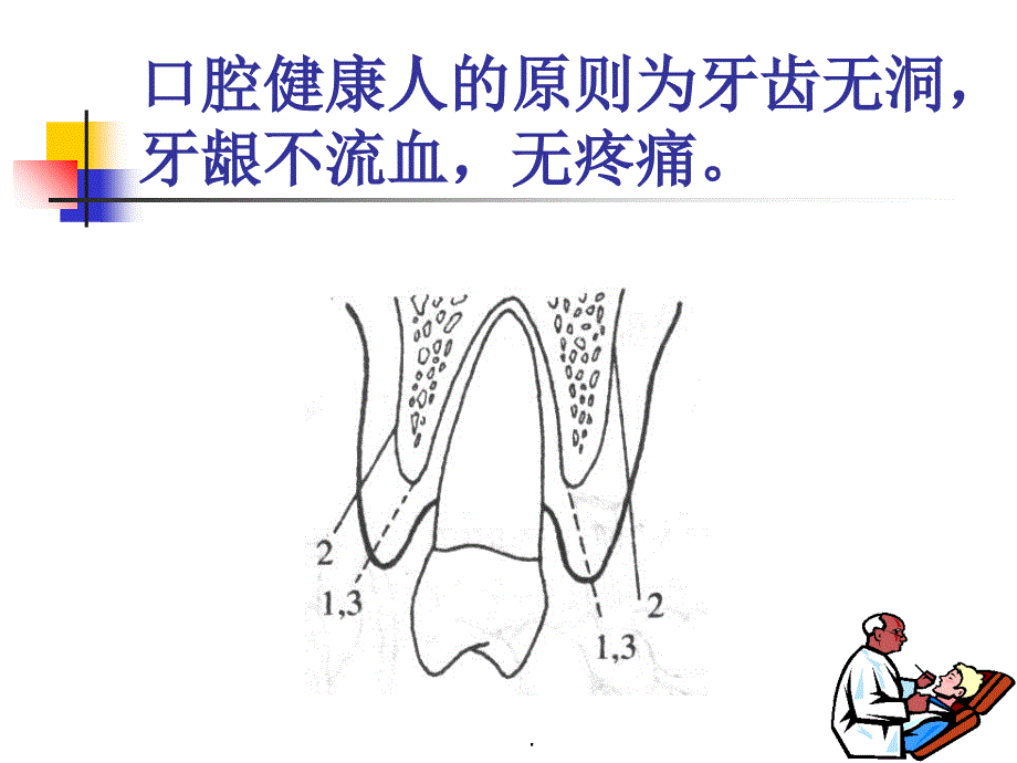 牙周病学第章牙周病绪论ppt课件_第3页