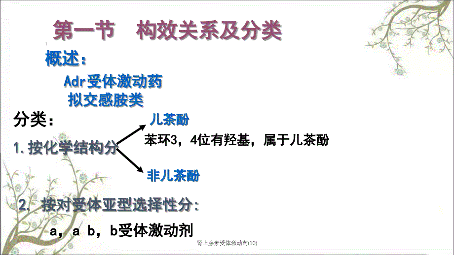 肾上腺素受体激动药10_第2页