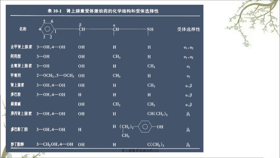 肾上腺素受体激动药10_第3页