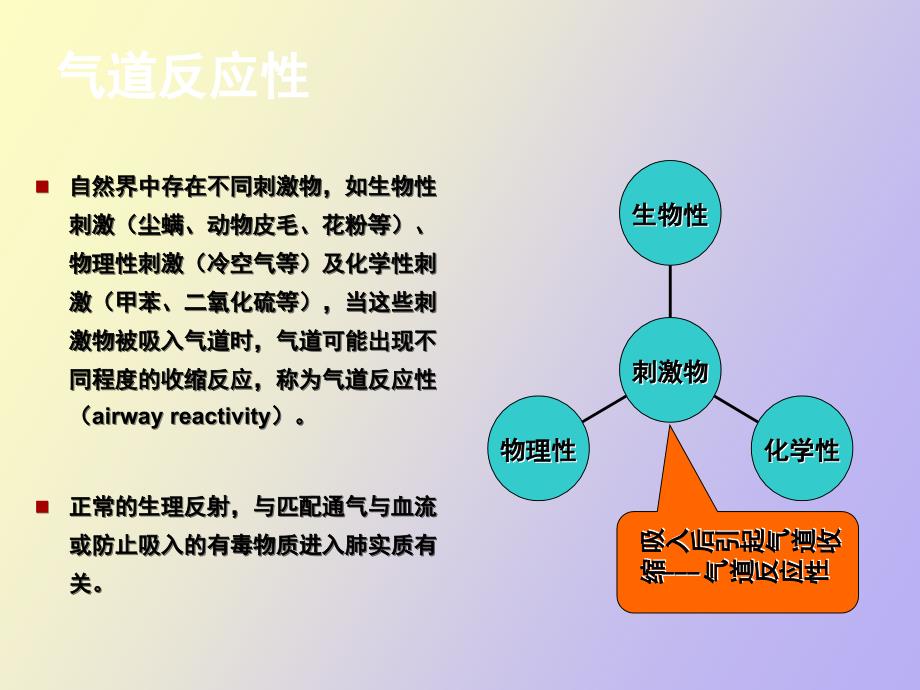 支气管激发试验_第3页