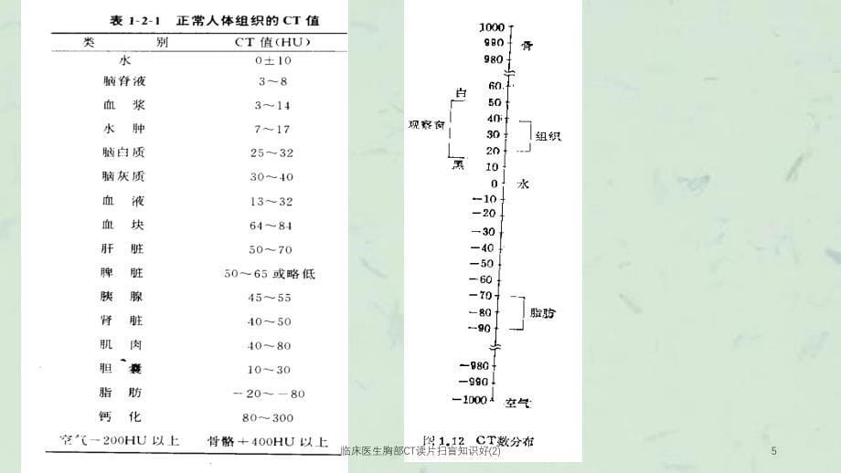 临床医生胸部CT读片扫盲知识好2课件_第5页