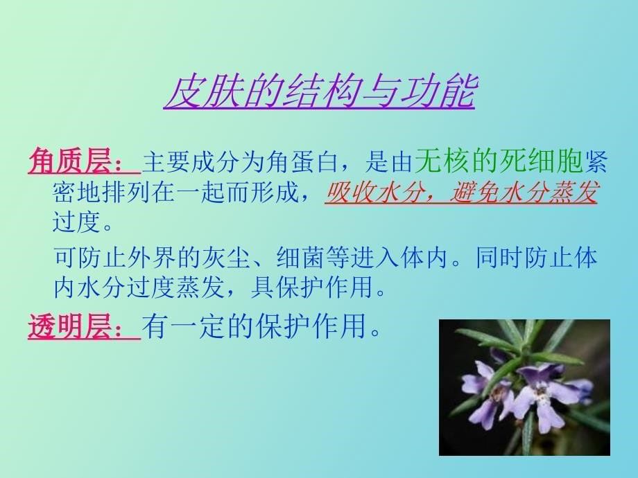 问题性皮肤的处理_第5页