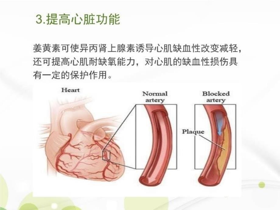 姜黄素备课讲稿_第5页