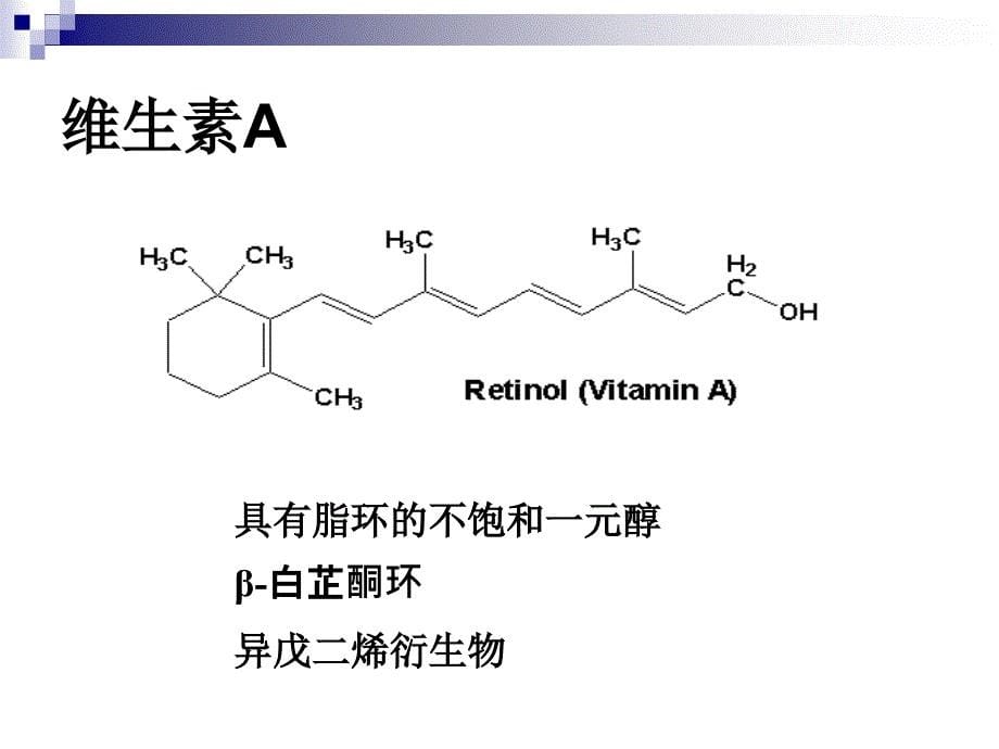 《维生素金陵学院》PPT课件_第5页