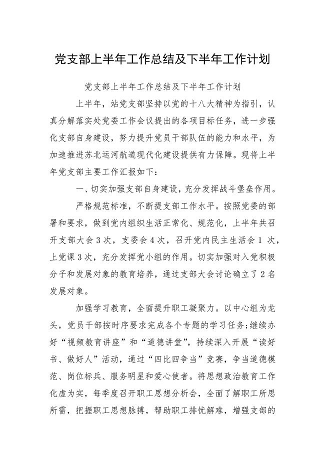 党支部上半年工作总结及下半年工作计划.docx