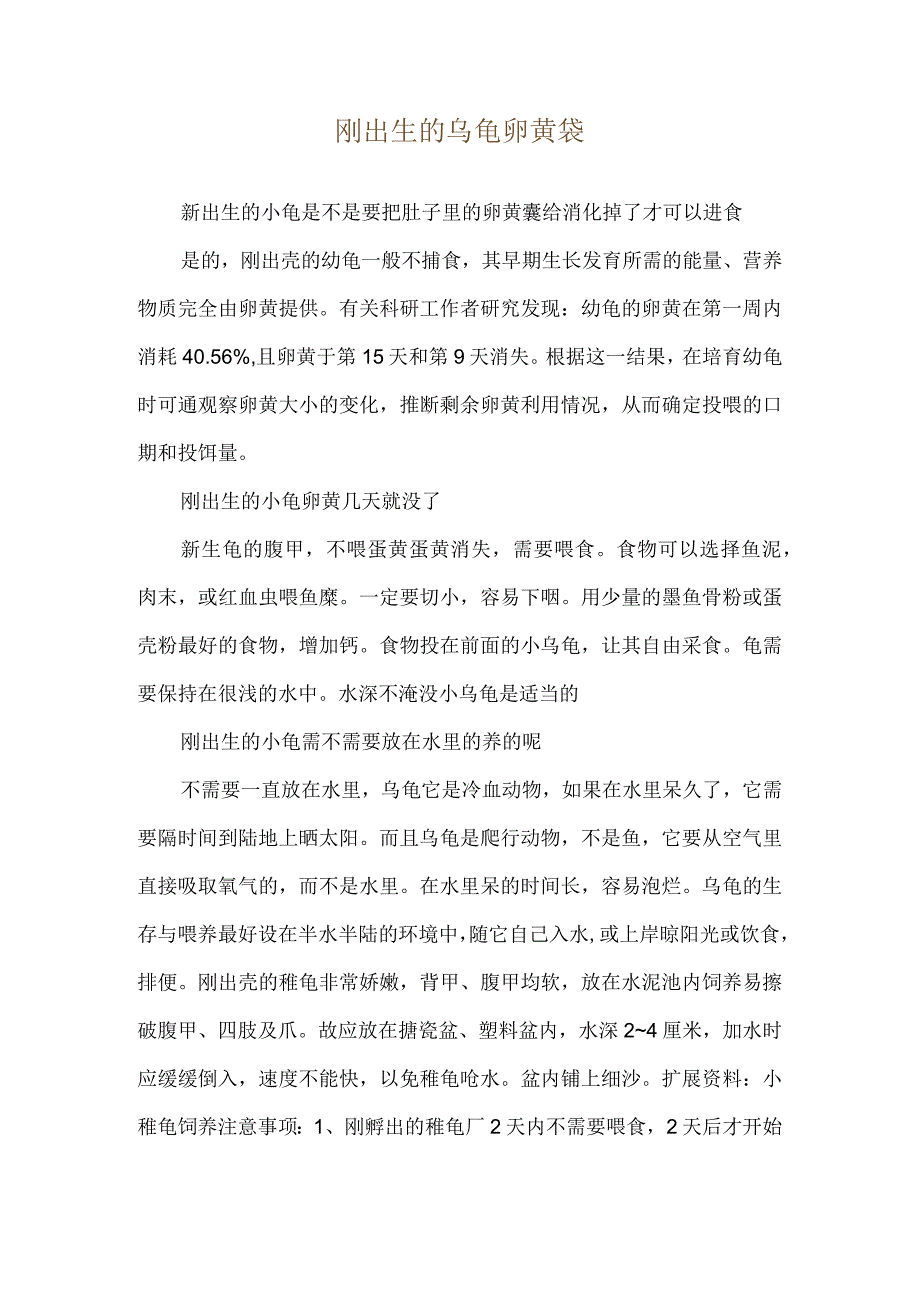 刚出生的乌龟卵黄袋_第1页