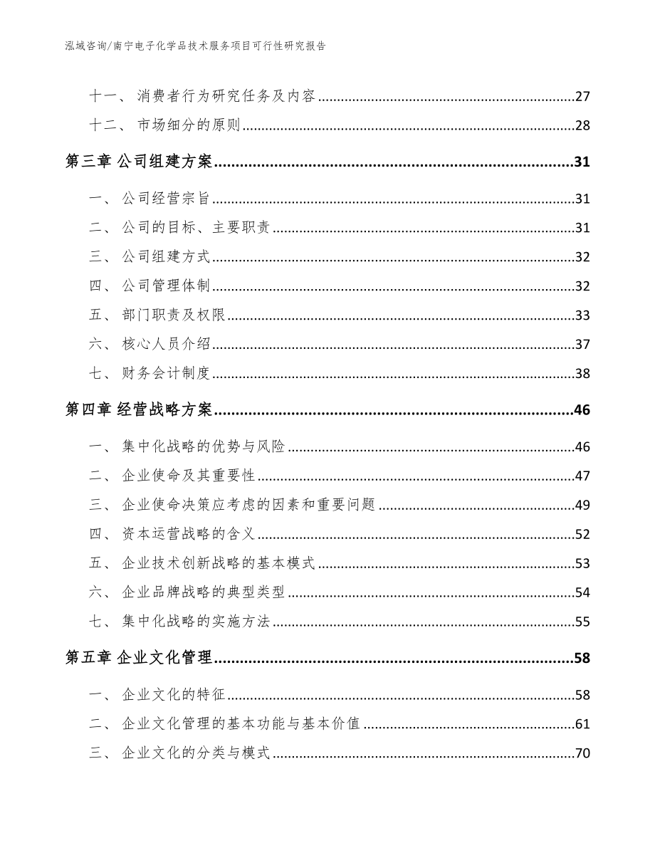 南宁电子化学品技术服务项目可行性研究报告（范文模板）_第2页