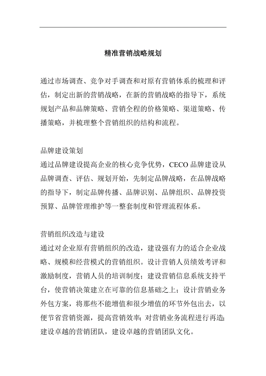 精准营销战略规划.doc_第1页