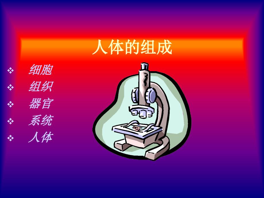 《人体器官与健康》PPT课件_第3页