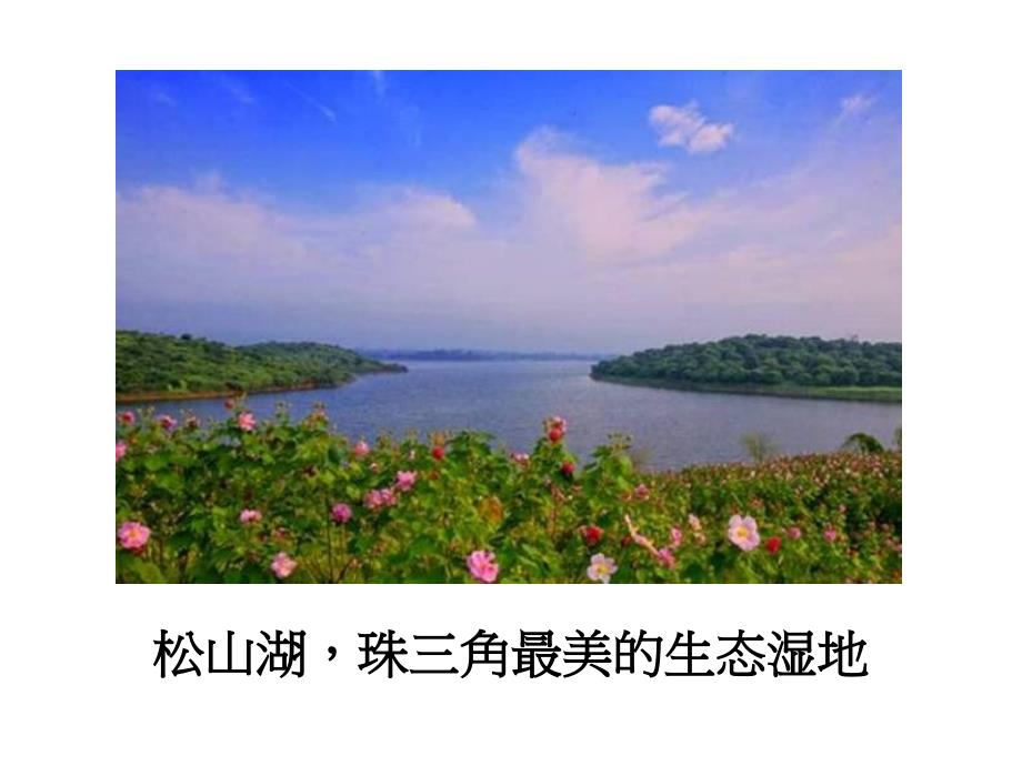 东莞滨湖花园项目年营销策略总纲_第4页