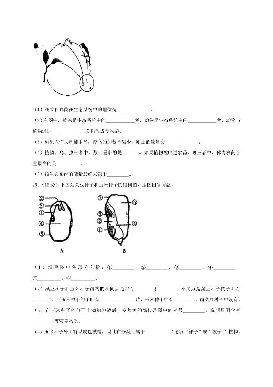 四川省泸州泸县七年级生物上学期期中试题新人教版_第5页