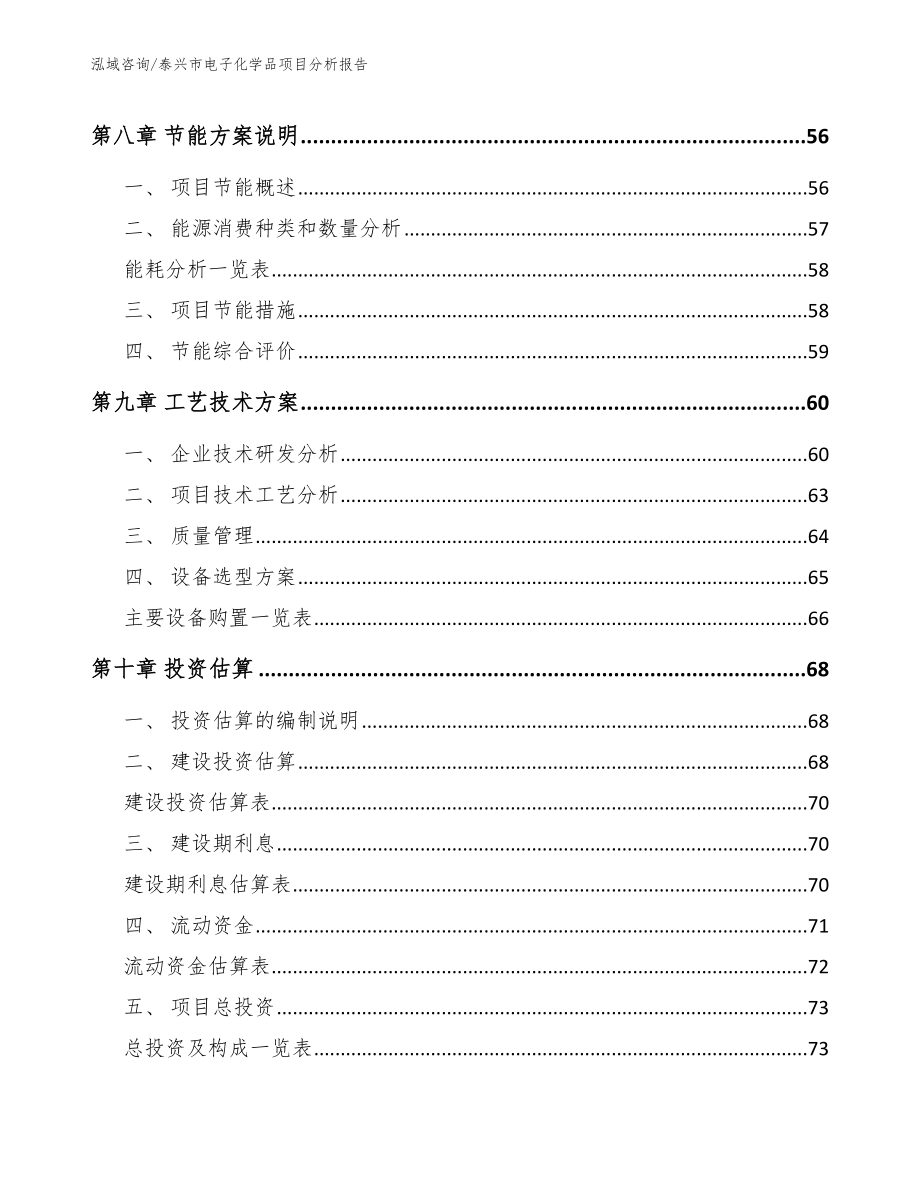 泰兴市电子化学品项目分析报告（模板）_第4页