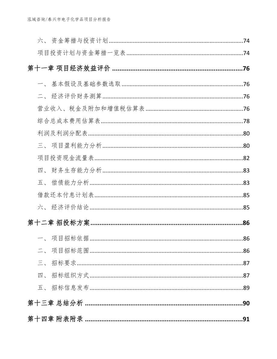 泰兴市电子化学品项目分析报告（模板）_第5页