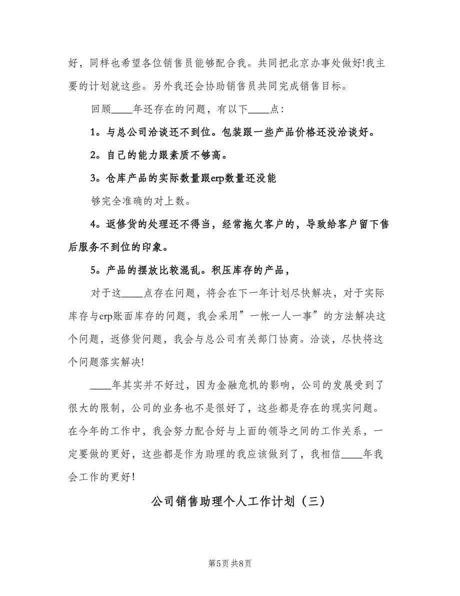 公司销售助理个人工作计划（三篇）.doc_第5页