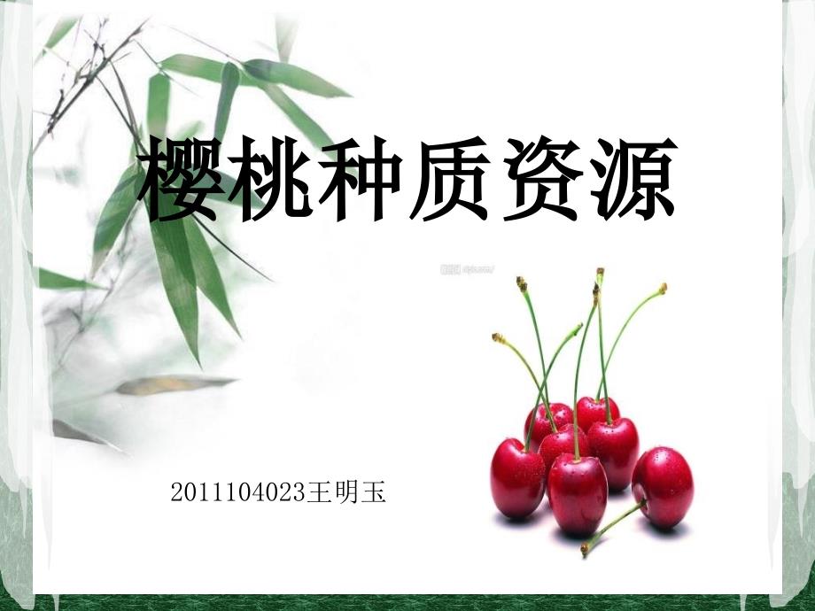 樱桃种质资源_第1页