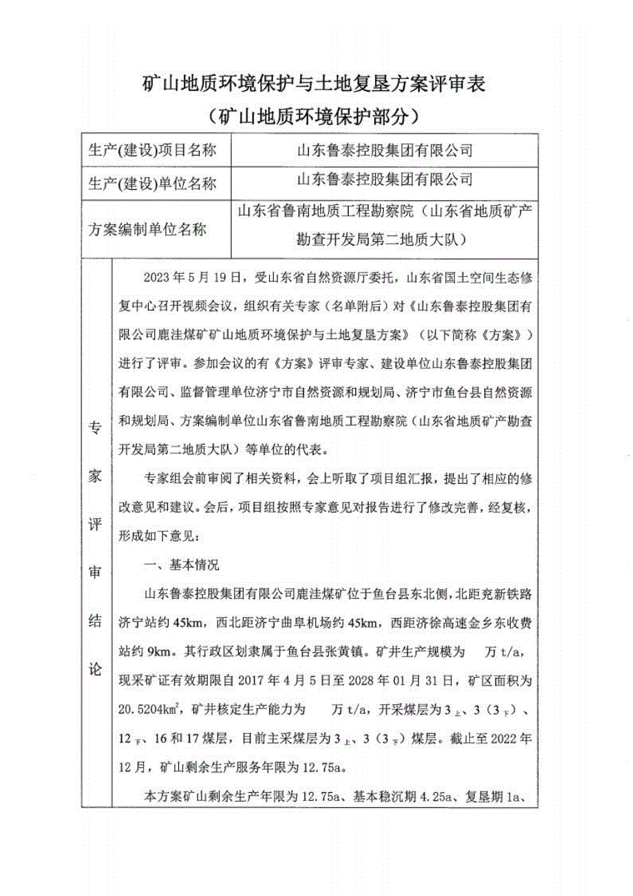 《山东鲁泰控股集团有限公司矿山地质环境保护与土地复垦方案》专家意见.docx_第1页