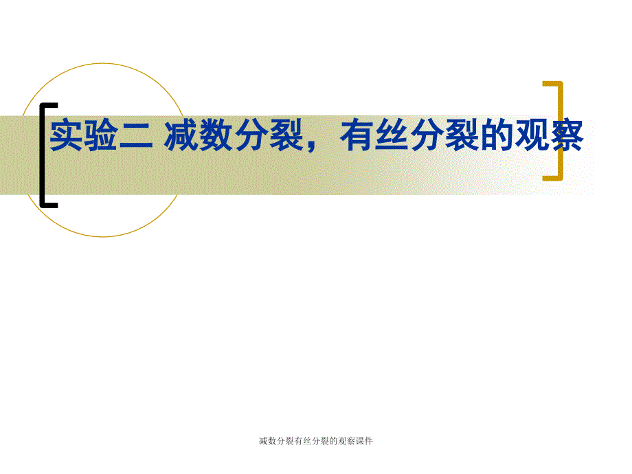 减数分裂有丝分裂的观察课件_第1页