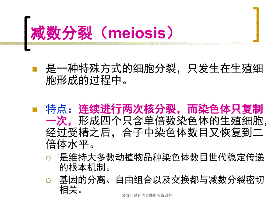 减数分裂有丝分裂的观察课件_第3页