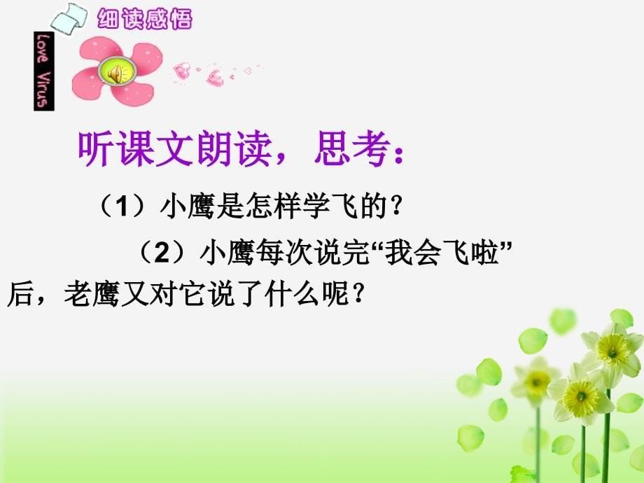 苏教版二年级语文上册《小鹰学飞》课件.ppt_第5页