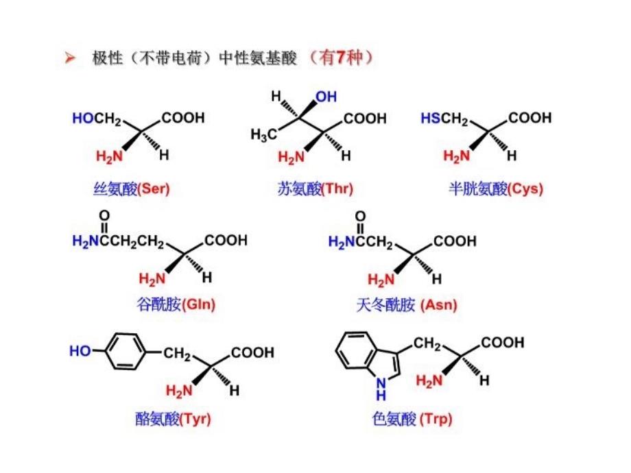 最新大学本科有机化学41氨基酸教学课件_第4页