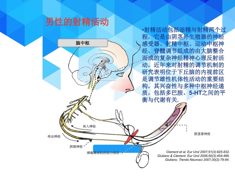 PE治疗的新进展ppt参考课件_第2页