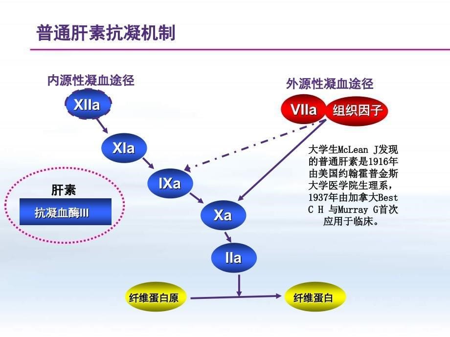 抗凝药发展进程精要_第5页