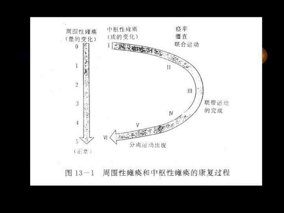 上田敏运动功能评价法教学内容_第5页