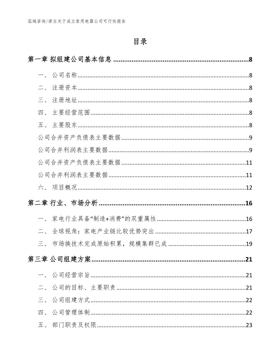 崇左关于成立家用电器公司可行性报告（模板范本）_第2页