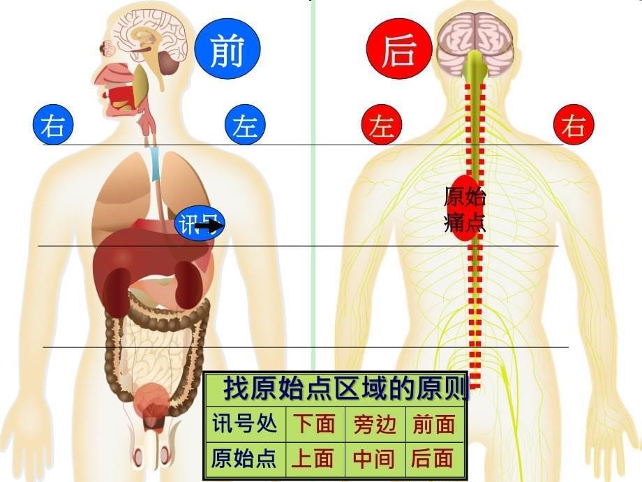 原始点疗法讲稿-临床实际操作_第5页