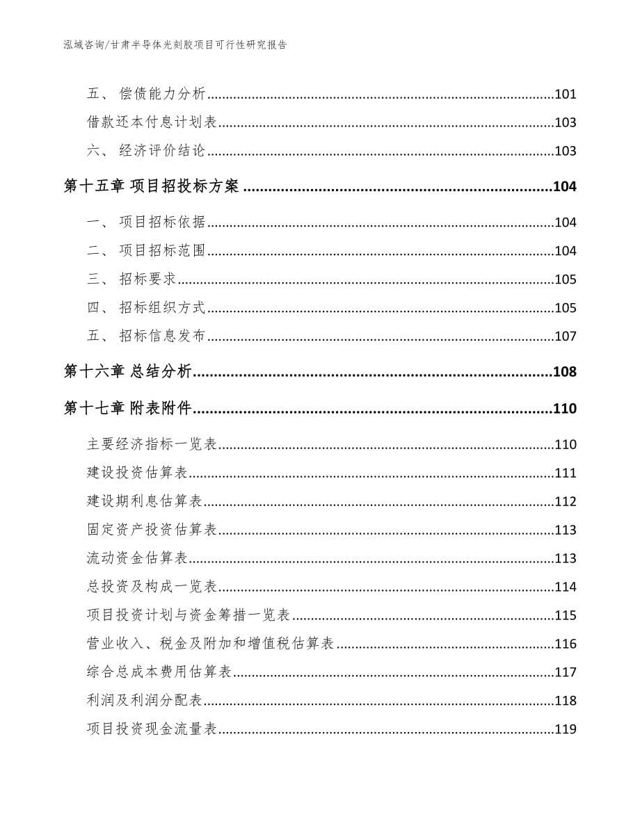 甘肃半导体光刻胶项目可行性研究报告（模板范文）_第5页