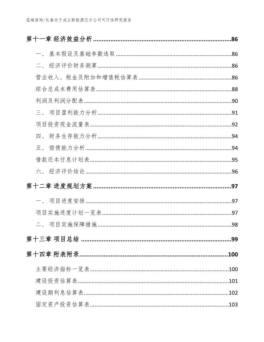 长春关于成立新能源芯片公司可行性研究报告_模板范文_第5页