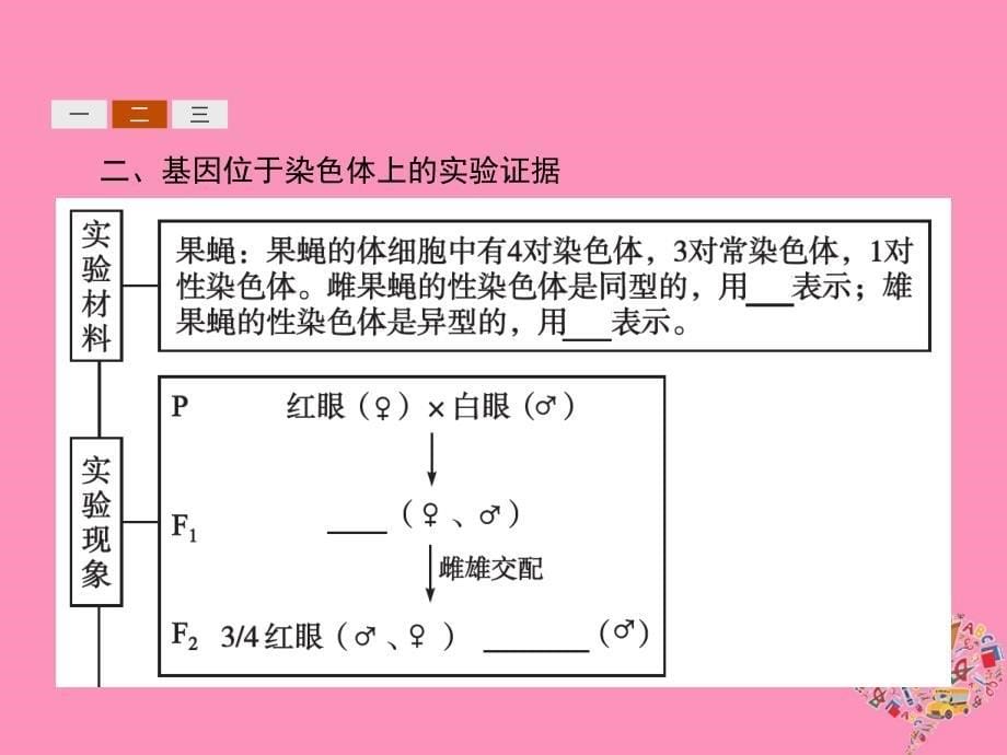 2018年秋高中生物 第2章 基因和染色体的关系 2.2 基因在染色体上课件 新人教版必修2_第5页