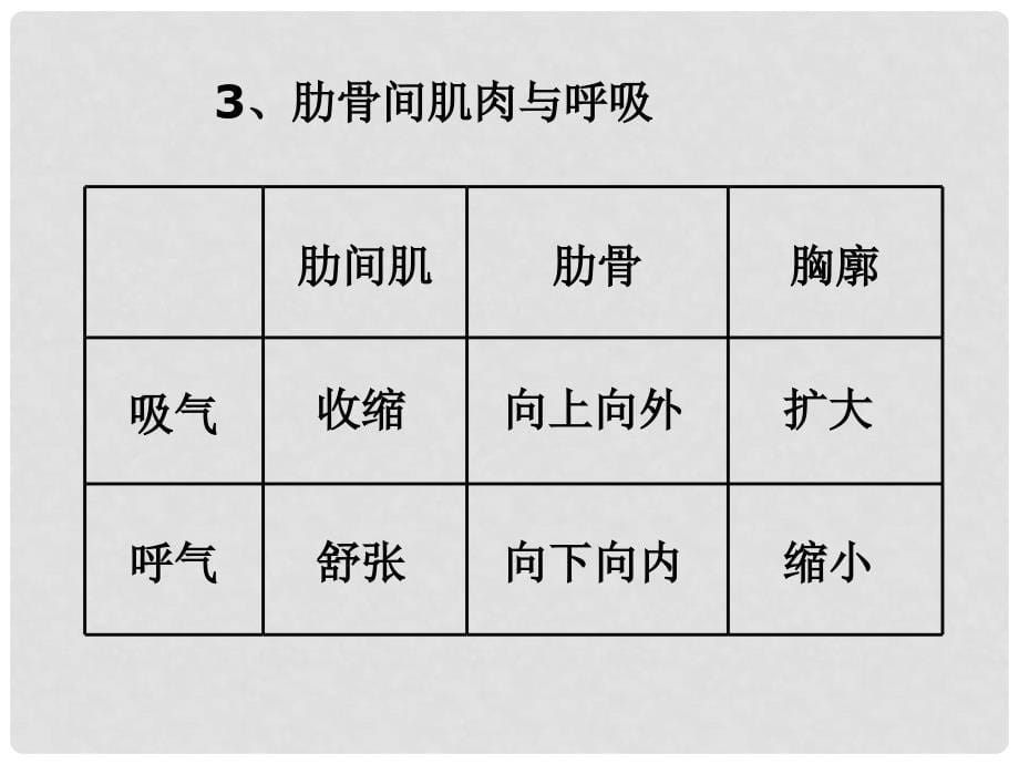 七年级生物下册 第四单元 第三章 第二节 发生在肺内的气体交换课件 新人教版_第5页