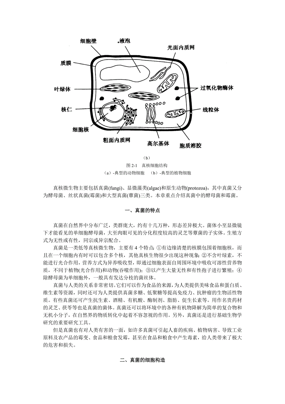 2微生物第二章真核微生物_第2页