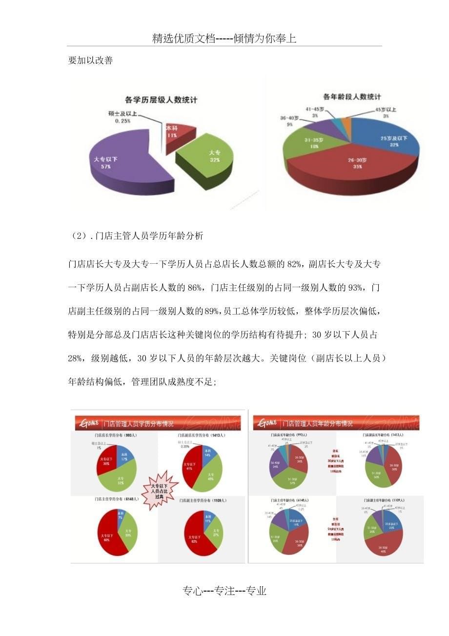 国美人力资源战略分析报告_第5页