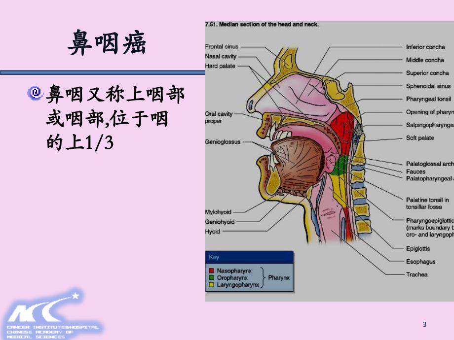 头颈部肿瘤放射治疗计划设计ppt课件_第3页