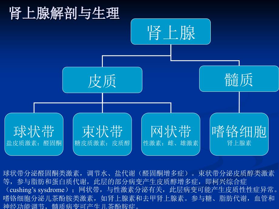 肾上腺疾病超声诊断_第5页