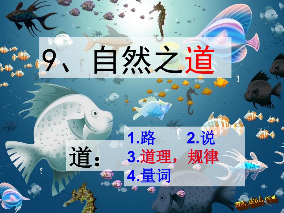 人教版四年级语文下册生命之道.ppt_第1页