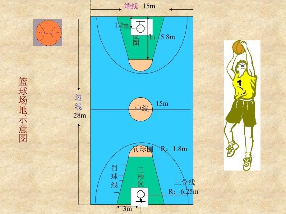 篮球世界精品课件中小学体育老师专用体育课入门教程_第5页