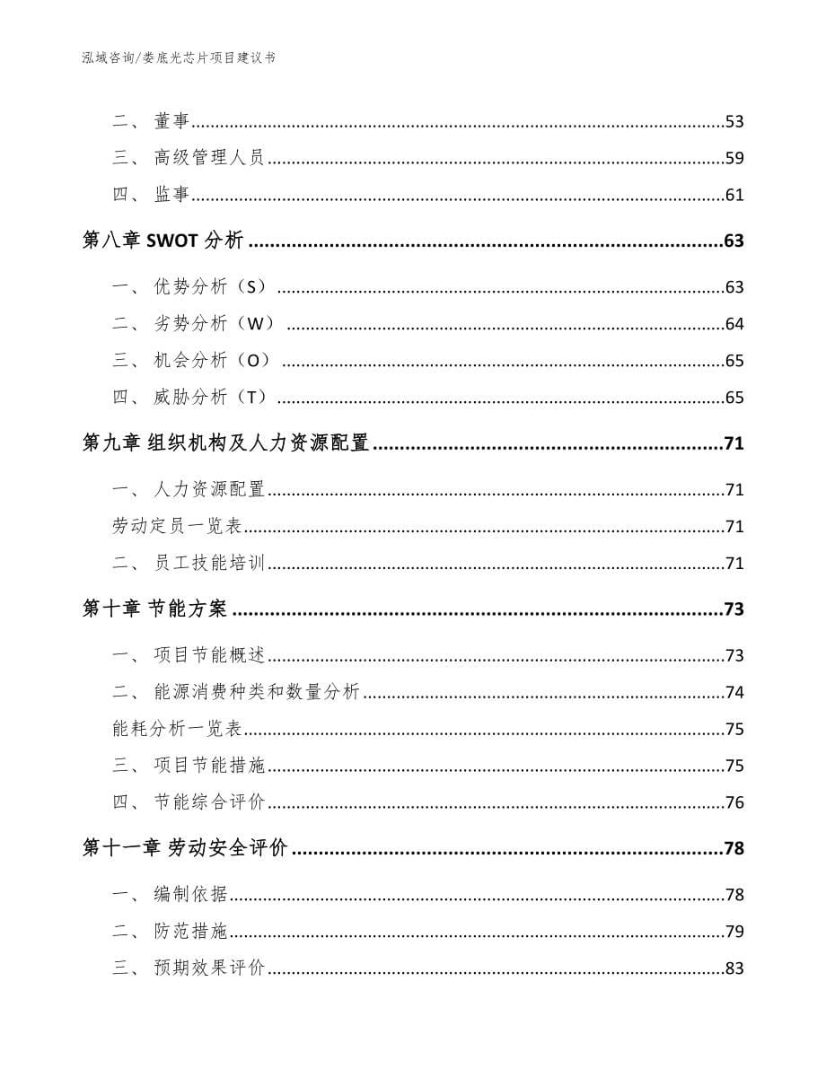 娄底光芯片项目建议书_模板范本_第5页