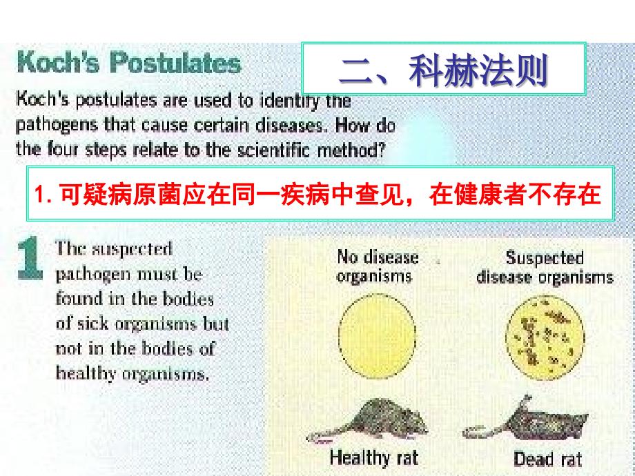 细菌的感染和致病机理PPT课件_第4页