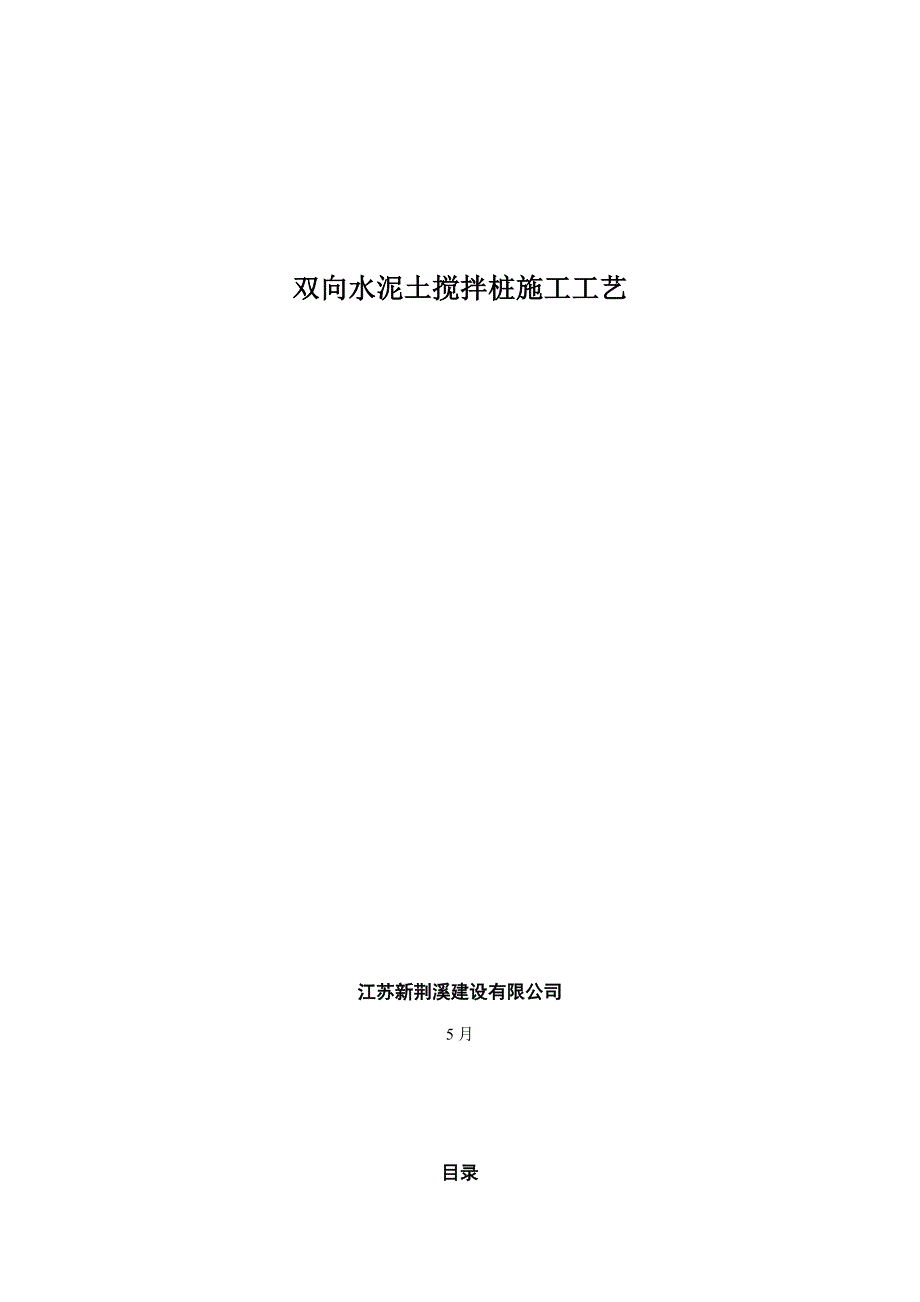 双向搅拌桩综合施工标准工艺_第1页