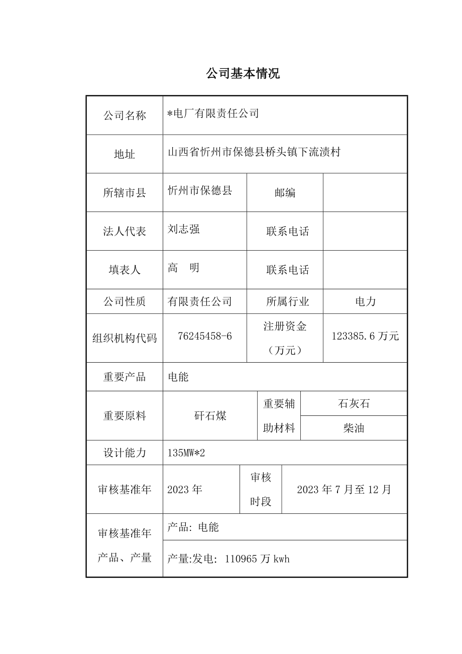 电厂清洁生产审核报告.doc_第1页