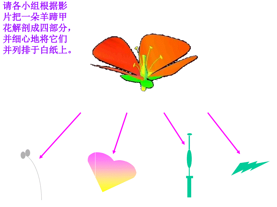 《开花和结果PPT课件》_第3页