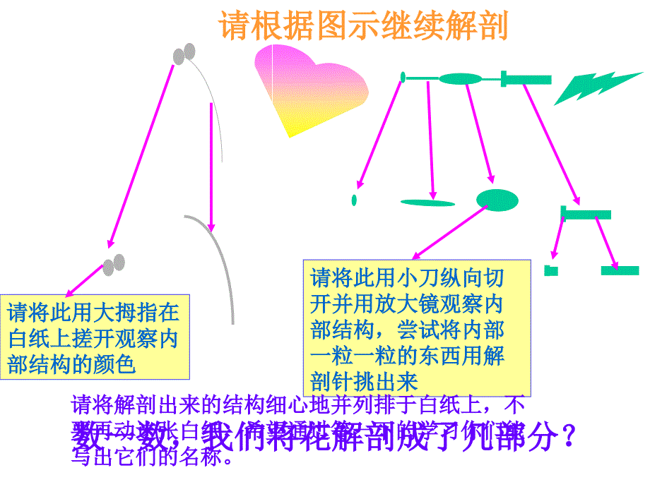 《开花和结果PPT课件》_第4页