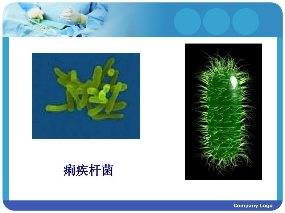 细菌性痢疾病人的护理ppt课件_第3页